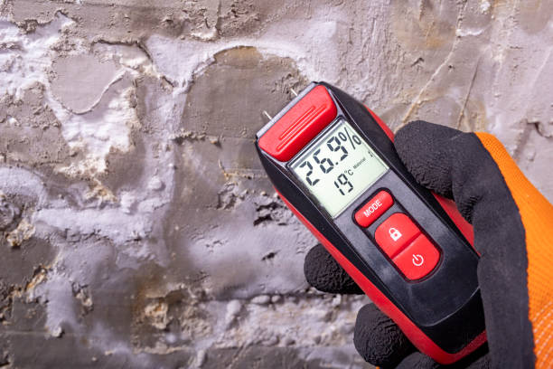 Best Mold Damage Repair  in Allouez, WI