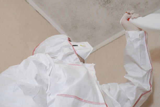 Best Mold Testing  in Allouez, WI