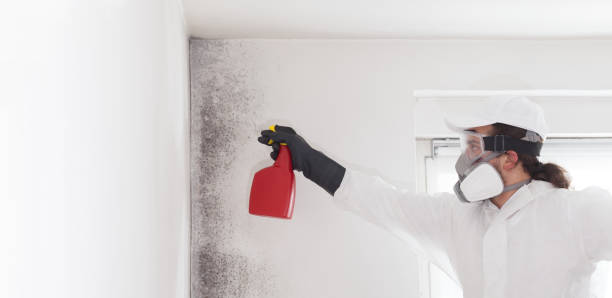 Best Water Damage Restoration  in Allouez, WI